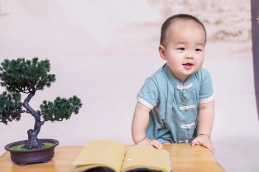东阳可爱的企鹅宝宝